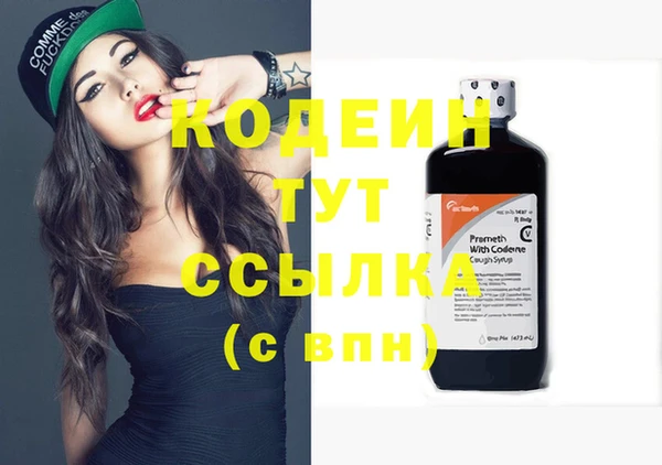 прущие грибы Карпинск