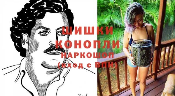 сатива Козельск
