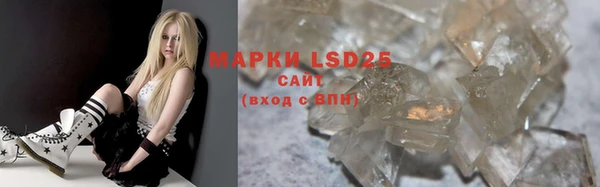 прущие грибы Карпинск