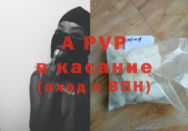 прущие грибы Карпинск