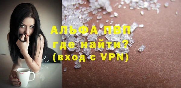 прущие грибы Карпинск