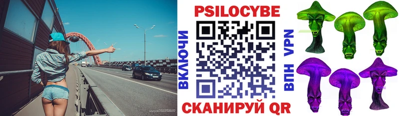 Купить где  Буй  Псилоцибиновые грибы Cubensis 